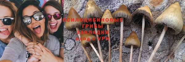 дурь Алексеевка