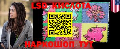 гидра Камышлов