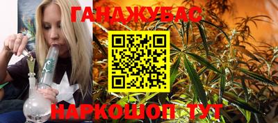 индика Кандалакша