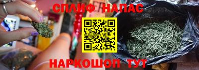 гидра Камышлов