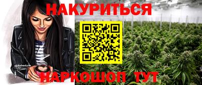 гидра Камышлов