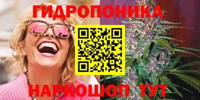 гидра Камышлов