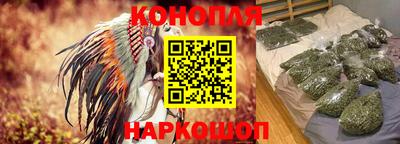 индика Кандалакша