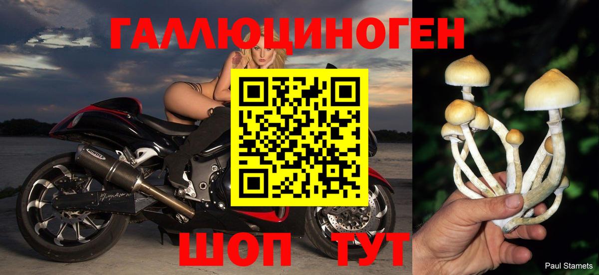 Псилоцибиновые грибы GOLDEN TEACHER Тверь