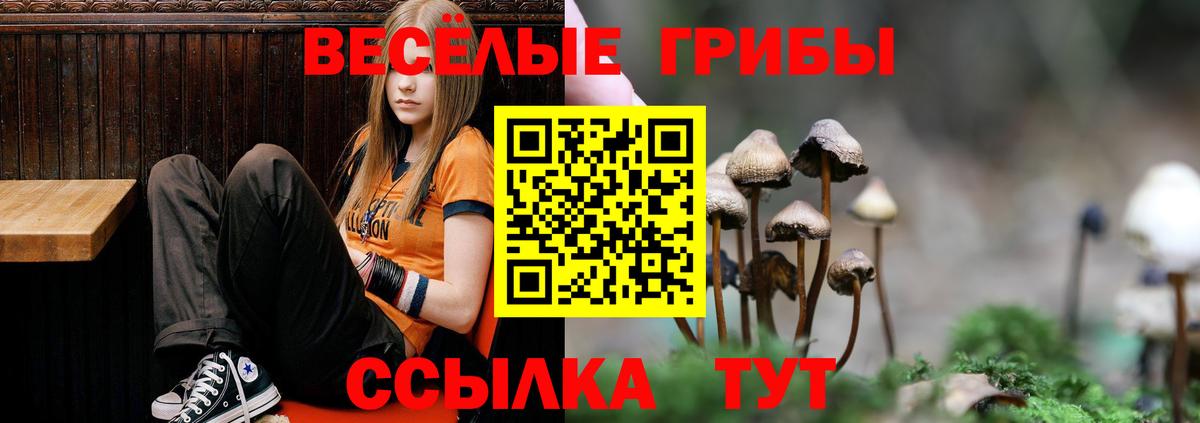 Псилоцибиновые грибы ЛСД  Вход с VPN  Тверь 