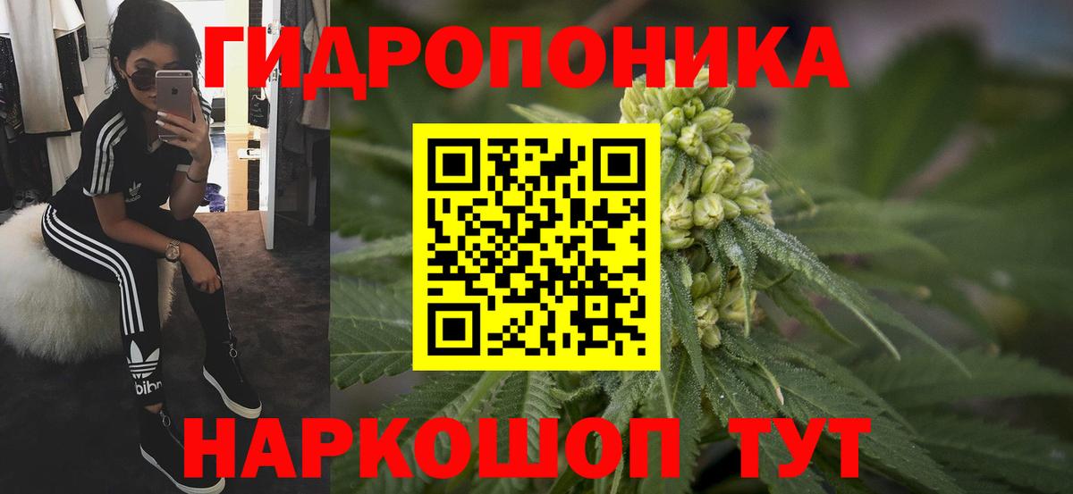 Каннабис ГИДРОПОН  Марихуана White Widow  Шишки марихуана LSD WEED  Вход с VPN  Каннабис индика  Тверь 